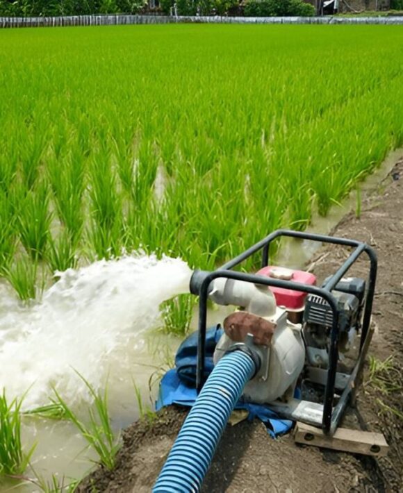 agri agri